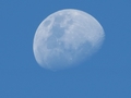 Lua Nova - Julho/2012 (Foto/Crdito: Robertha Mendona)