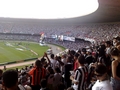 Final do Campeonato Mineiro de Futebol de 2010. Atltico 2 x 0 Ipatinga. (Foto/Crdito: Srgio Oliveira - Mquina Sony Cybershot, lente Carl Zeiss).