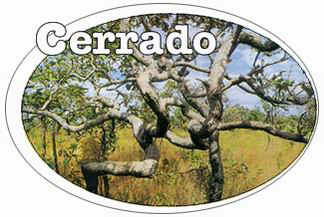 cerrado1.jpg (14524 bytes)