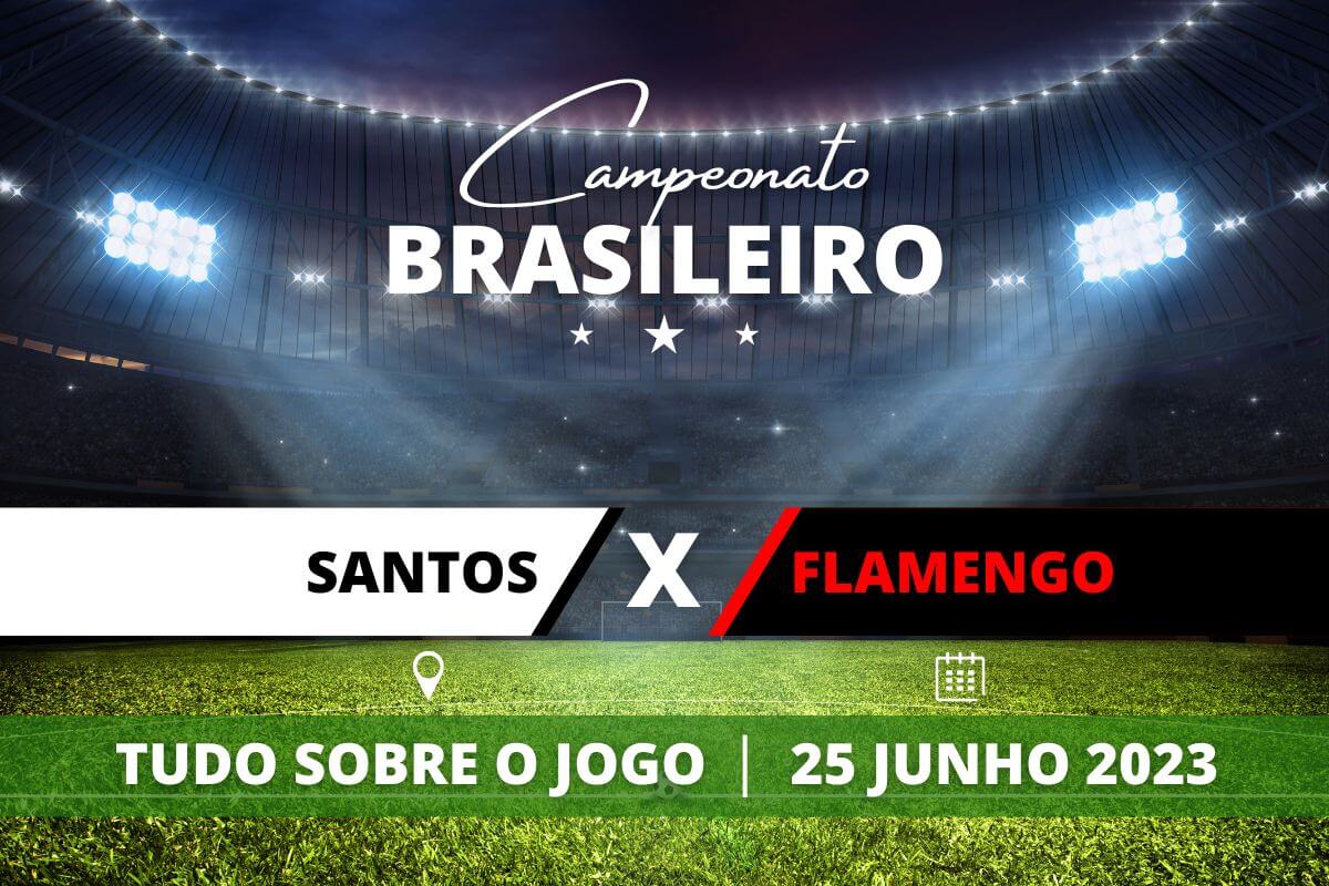 Santos x Flamengo pela 12ª rodada do Campeonato Brasileiro. Saiba tudo sobre o jogo: escalações prováveis, onde assistir, horário e venda de ingressos
