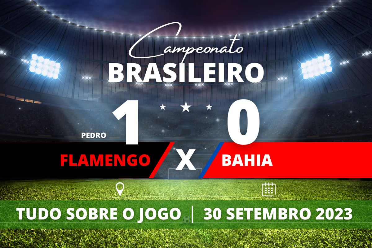Flamengo 1 x 0 Bahia - No Maracanã, Flamengo vence o Bahia com gol de Pedro já no segundo tempo e quebra jejum de quatro jogos. Partida válida pela 25° rodada do Campeonato Brasileiro.