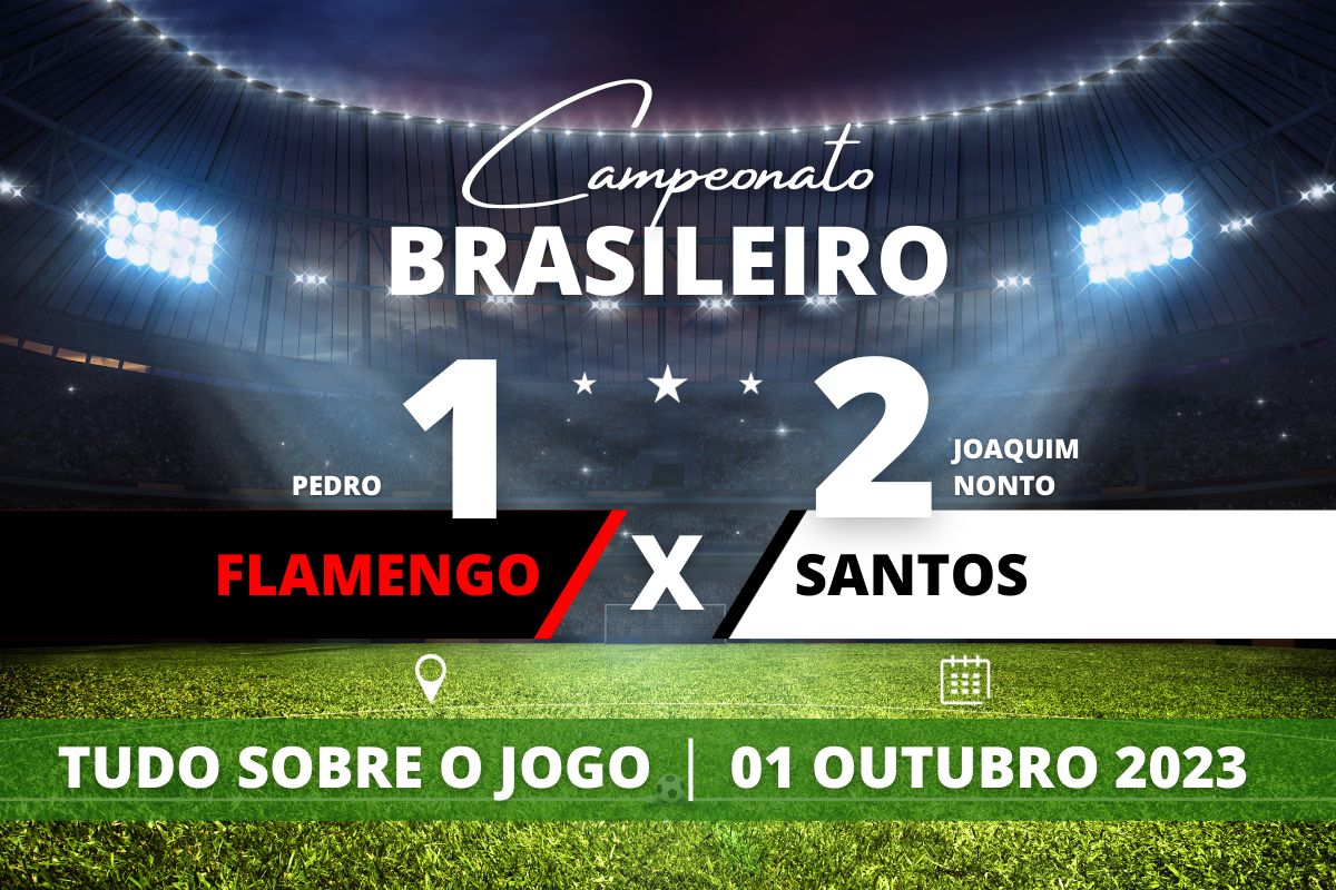 Flamengo 1 x 2 Santos - No Mané Garrincha, Santos vence o Flamengo de virada por 2 a 1 e consegue um respiro na luta contra a zona de rebaixamento. Partida válida pela 31° rodada do Campeonato Brasileiro.