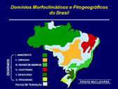 Domínios Morfoclimáticos e fitogeográficos do Brasil